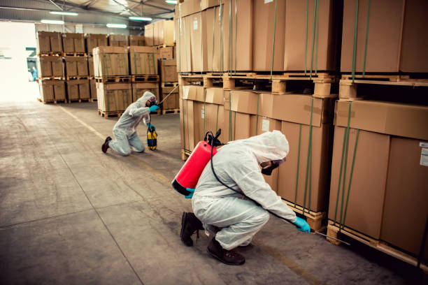 Best Pest Removal Services  in English Creek, NJ