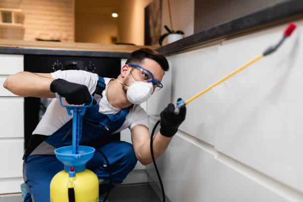 Best Commercial Pest Control Services  in English Creek, NJ