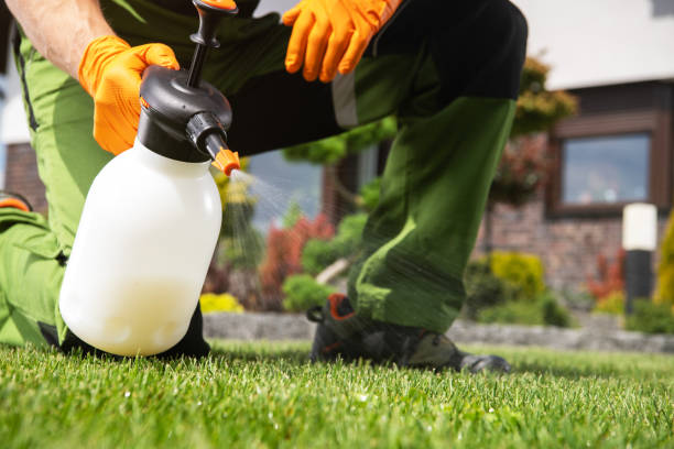 Wildlife Control Services in English Creek, NJ