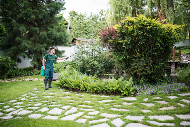 Reliable English Creek, NJ Pest Control Solutions