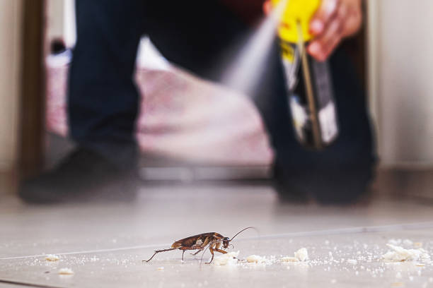 Best Commercial Pest Control Services  in English Creek, NJ